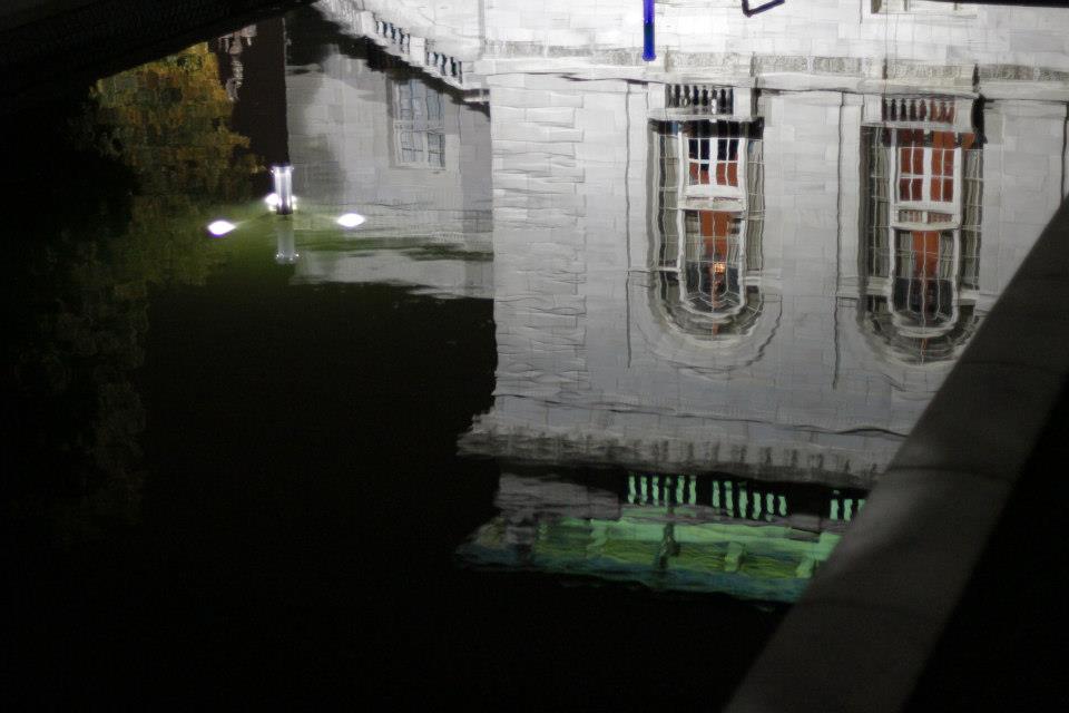 The Ripple Effect: Opening Reception