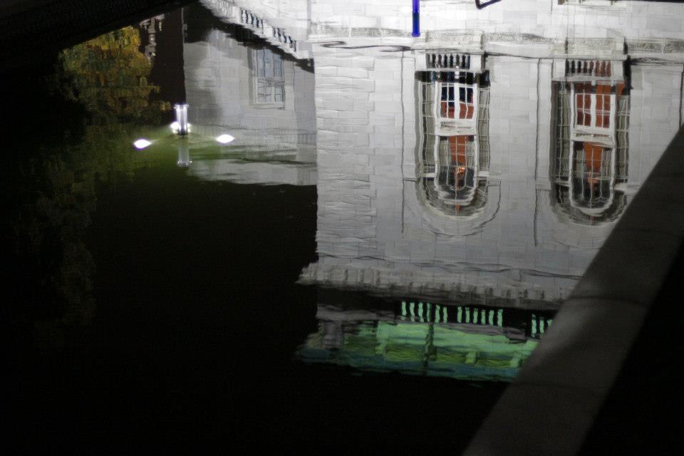 The Ripple Effect: Opening Reception