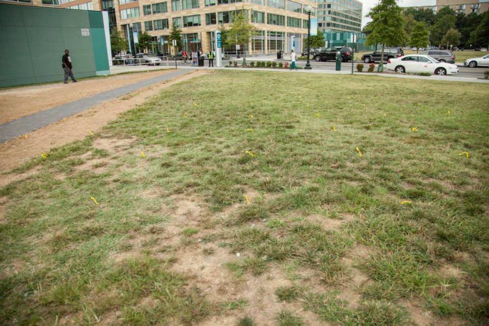 Alpha Lillstrom Portrait Garden