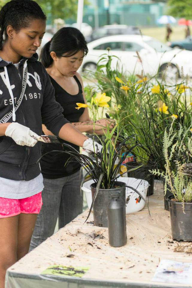 Alpha Lillstrom Portrait Garden