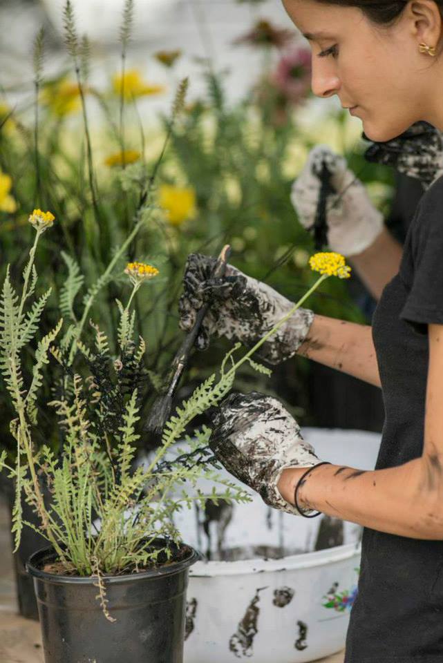 Alpha Lillstrom Portrait Garden