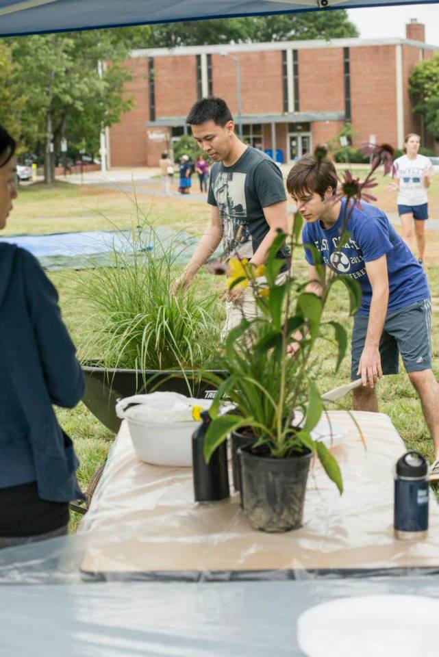 Alpha Lillstrom Portrait Garden