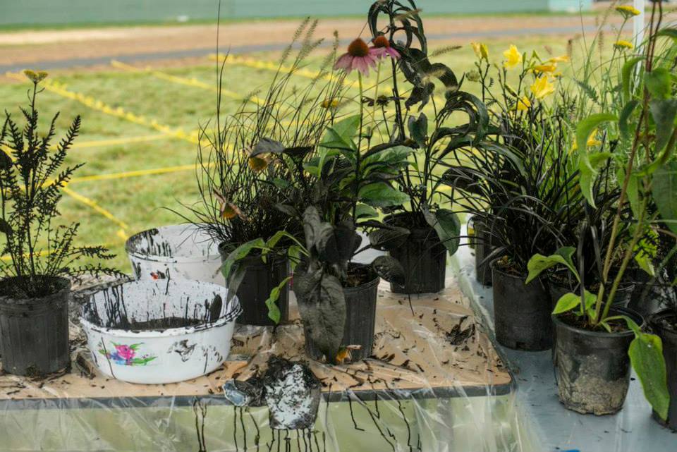 Alpha Lillstrom Portrait Garden