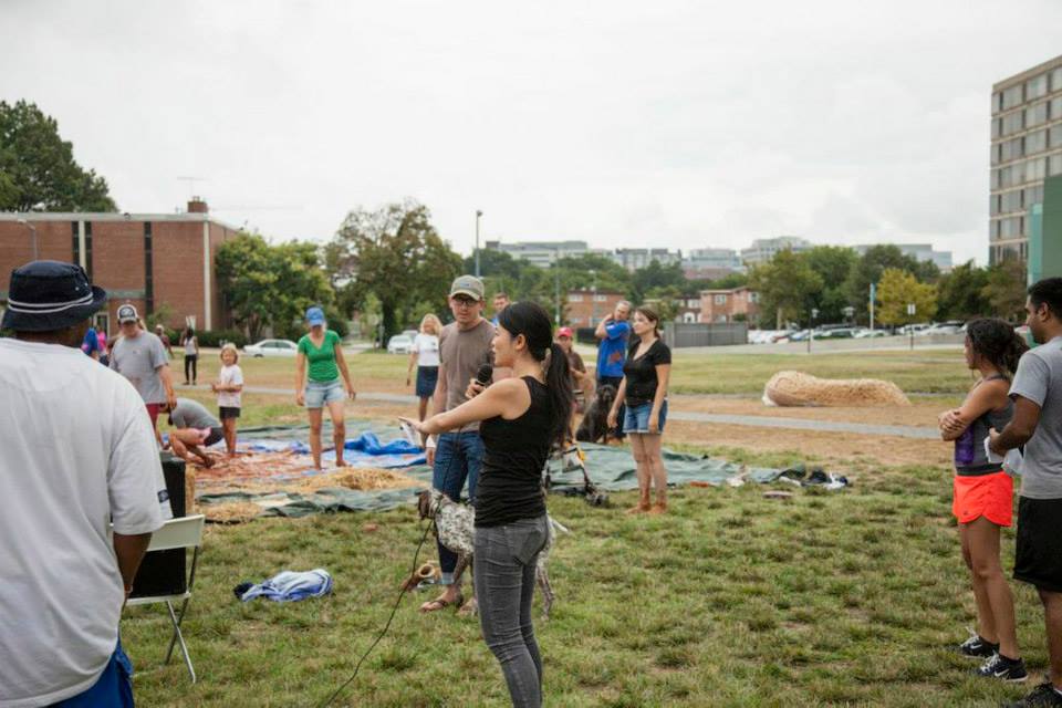 Alpha Lillstrom Portrait Garden