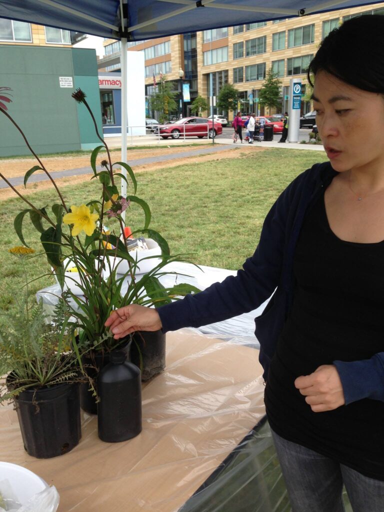 Alpha Lillstrom Portrait Garden