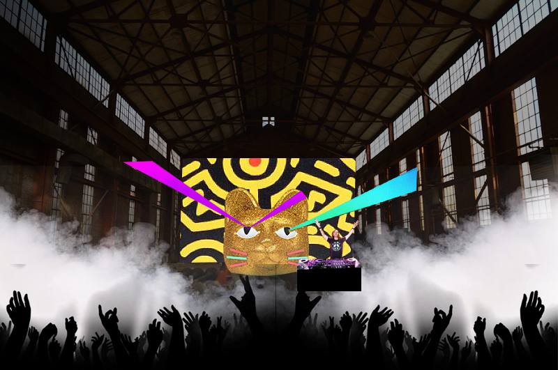 Laser Cat: Volunteer Call