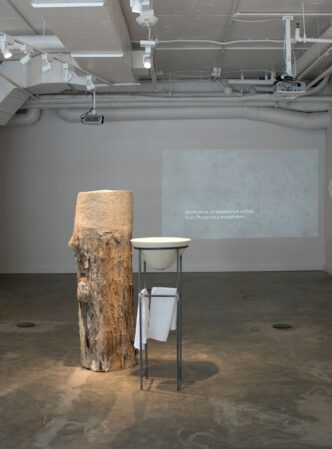 EnterState: Sensing the Natural World