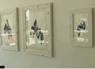 Lobby Project: Fawna Xiao