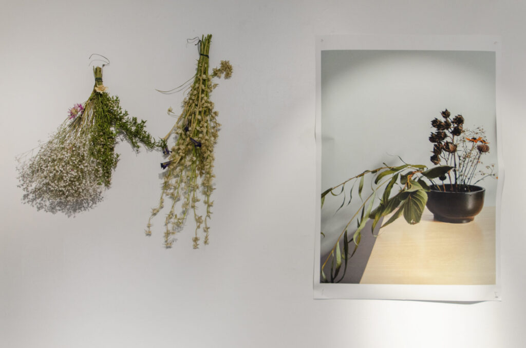 Adele Kenworthy: Residency