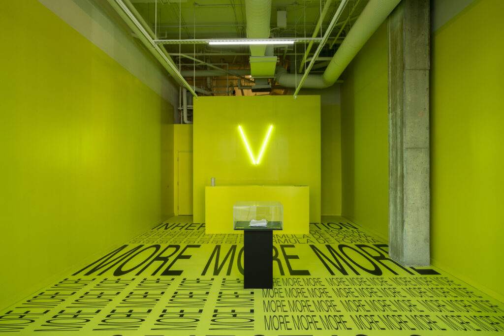 Vaulte X-XII: Installation