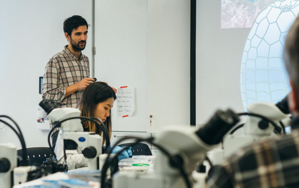 CRISPR Genome Editing and Butterfly Genomics research at George Washington University