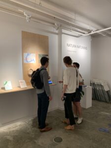 Natura/Naturans: A Series of Lectures, Workshops, and Field Trips on the Anthropocene