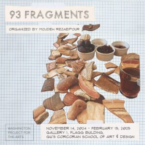 Mojdeh Rezaeipour: 93 Fragments